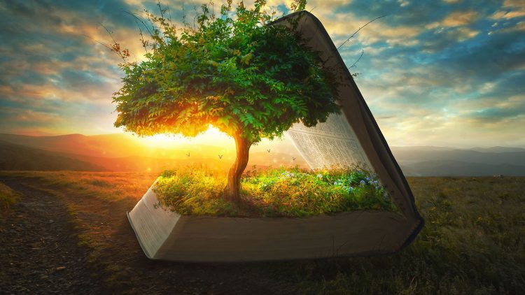 Tree, light, sun, 10-great-tools-for-your-spiritual-growth-mega