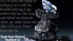 Urdu – شیخ نور جان میر احمدی نقشبندی (ق) کے