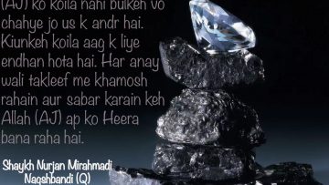 Urdu – شیخ نور جان میر احمدی نقشبندی (ق) کے