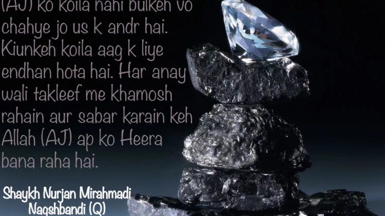 Urdu – شیخ نور جان میر احمدی نقشبندی (ق) کے