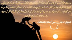 Urdu – شیخ نور جان میر احمدی نقشبندی (ق) کے