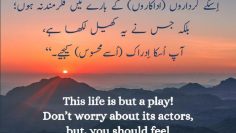 Urdu –