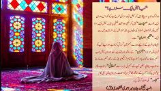 Urdu – شیخ السیّد نورجان میراحمدی نقشبندی (ق) کی سنہری