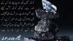 Urdu –