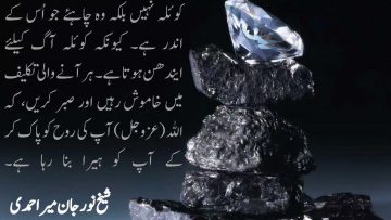 Urdu –