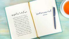 Urdu – Reality of a Mirror| Sayedna Khidr [AS] is