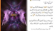 Urdu – شیخ سَیَّد نورجان مِیراَحمَدِی نَقشبَندِی (ق) کی سنہری