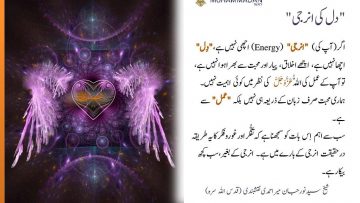 Urdu – شیخ سَیَّد نورجان مِیراَحمَدِی نَقشبَندِی (ق) کی سنہری