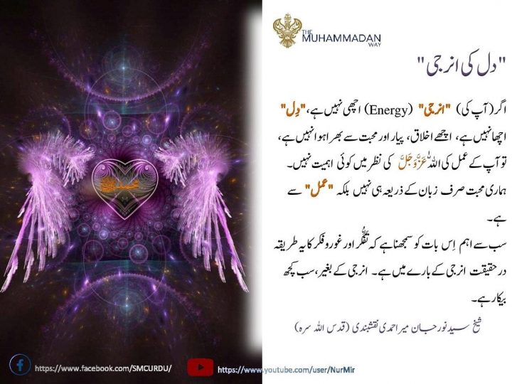 Urdu – شیخ سَیَّد نورجان مِیراَحمَدِی نَقشبَندِی (ق) کی سنہری