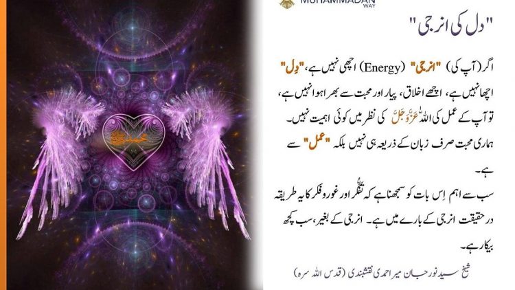 Urdu – شیخ سَیَّد نورجان مِیراَحمَدِی نَقشبَندِی (ق) کی سنہری