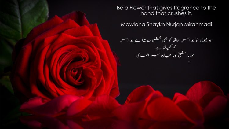Urdu –