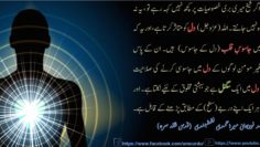 Urdu – شیخ سَیَّد نورجان مِیراَحمَدِی نَقشبَندِی (ق) کی سنہری