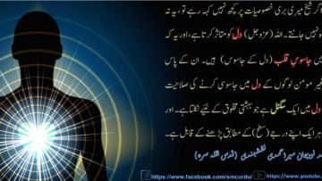 Urdu – شیخ سَیَّد نورجان مِیراَحمَدِی نَقشبَندِی (ق) کی سنہری