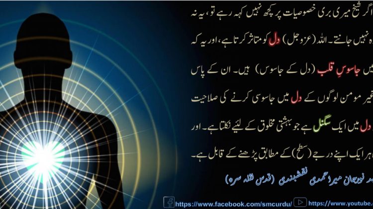 Urdu – شیخ سَیَّد نورجان مِیراَحمَدِی نَقشبَندِی (ق) کی سنہری