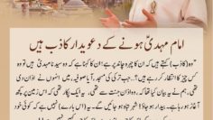 Urdu – سیدنا امام محمد مہدی علیہ السلام کی طاقتور