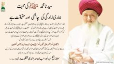 Urdu – ماہِ ربیع الاول میں سورۃ النمل کی اہمیت
