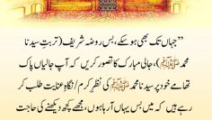 Urdu – آخرالزماں میں شریکِ حیات کی تلاش – سوالات