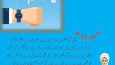Urdu – آخرالزماں میں شریکِ حیات کی تلاش – سوالات