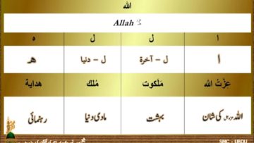 Urdu – اللہ عزوجل نے نبی پاک ﷺ کو تمام