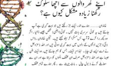 Urdu – سوالات و جوابات – بہشتی حقائق کے لیے