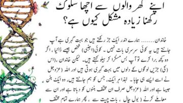 Urdu – سوالات و جوابات – بہشتی حقائق کے لیے