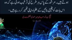 Urdu – “اینرجی بلاک چین اور گولڈن چین کا روحانی