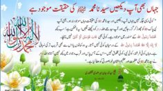 Urdu – اللہ عزوجل نے نبی پاک ﷺ کو تمام