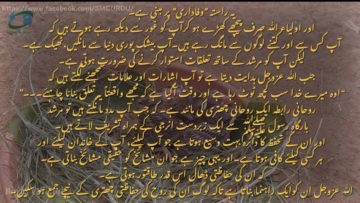 Urdu – شیخ سید نورجان میراحمدی نقشبندی (ق) کی سنہری