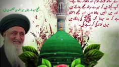 Urdu – شیخ سَیَّد نورجان مِیراَحمَدِی نَقشبَندِی (ق) کا 28