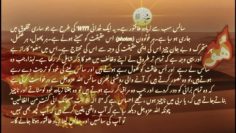Urdu – شیخ سید نورجان میراحمدی نقشبندی (ق) کی سنہری