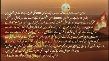 Urdu – شیخ سید نورجان میراحمدی نقشبندی (ق) کی سنہری