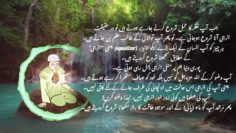 Urdu – شیخ سید نورجان میراحمدی نقشبندی (ق) کی سنہری