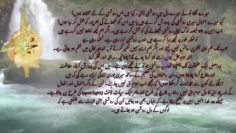 Urdu – شیخ سید نورجان میراحمدی نقشبندی (ق) کی سنہری
