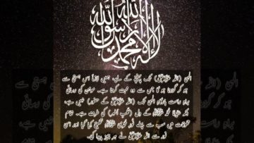 Urdu – شیخ سَیَّد نورجان مِیراَحمَدِی نَقشبَندِی (ق) کی سنہری