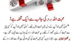 Urdu – سوالات و جوابات: جہاں آپ جاتے ہیں کیا