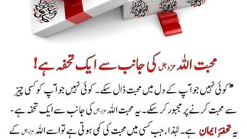 Urdu – سوالات و جوابات: جہاں آپ جاتے ہیں کیا