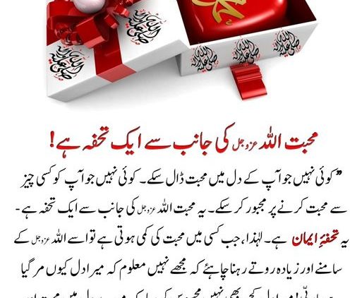 Urdu – سوالات و جوابات: جہاں آپ جاتے ہیں کیا