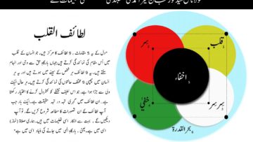 Urdu –