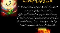 Urdu – سوالات و جوابات: جہاں آپ جاتے ہیں کیا