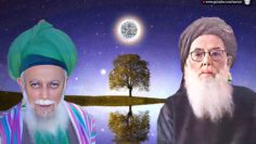 Urdu – محبت کے چالیس اصول – از حضرتِ عشق
