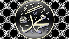 1e7b4a560153f85bcfc97ce47a8e7da4