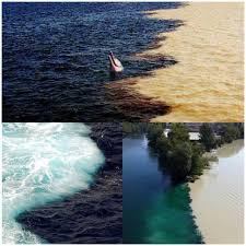 3 image of rivers, seas, oceans meet but dont mix
