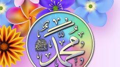 Spiritual Videos