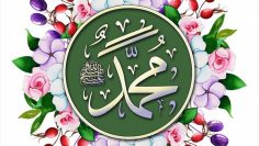 49ff8522a44e31b43eec107cb7b24486
