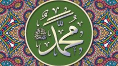 7233d34168c6a549cb65e98aaf9538bd