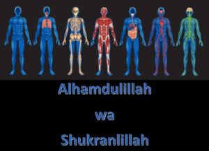 Alhamdulillah wa Shukranlillah Functioning Body Organs