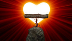 Ant heart power