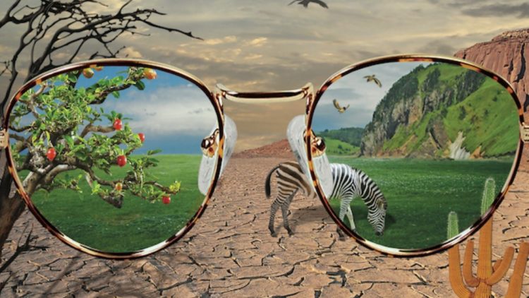 Change Your Perception Look to the Soul
