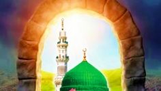 Madina Sharif, Door to the City of Light – Madina Sharif – close up