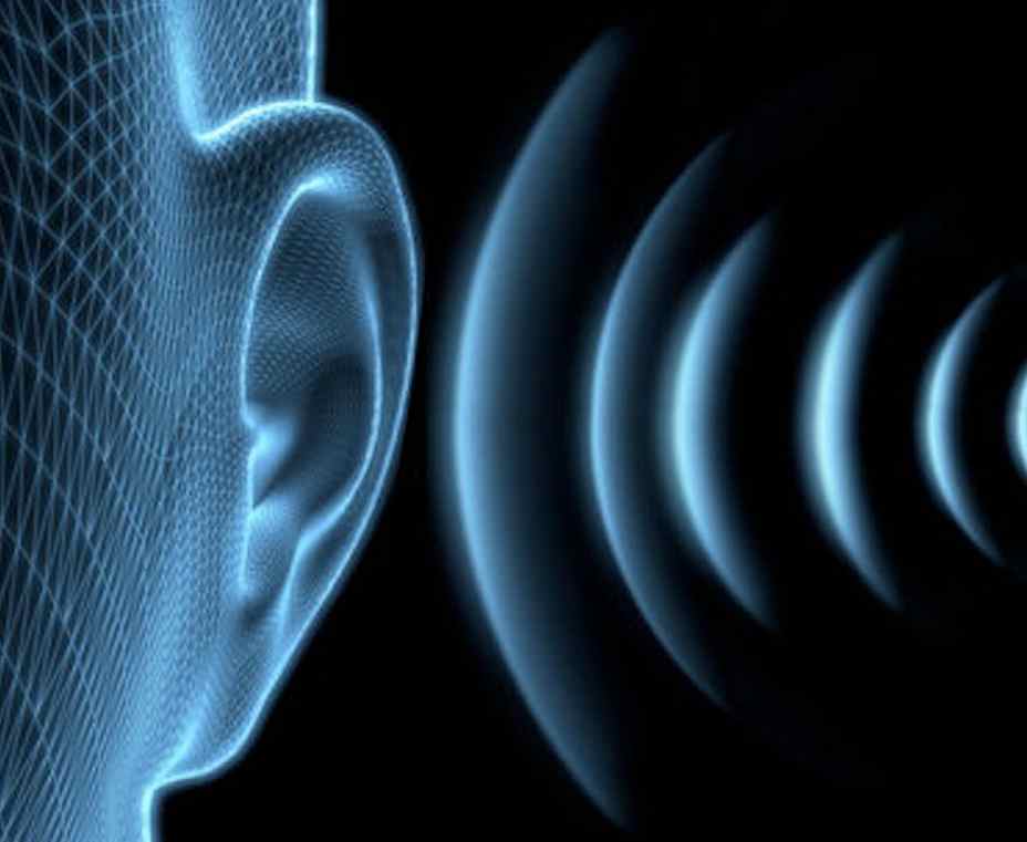 sound, frequency, hearing